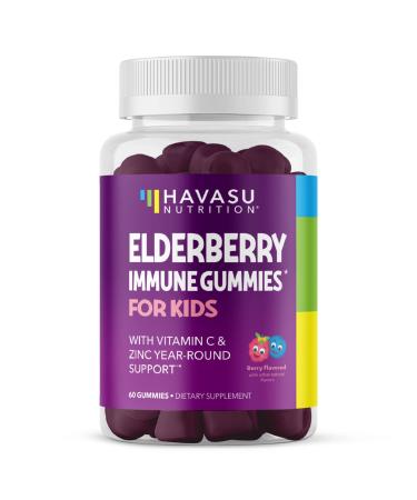 Elderberry Gummies for Kids with Zinc & Vitamin C | Potent Herbal Supplement with Antioxidants to Support Immune Defense | Vegan Gummies 60 Count (Pack of 1) - Buy Online on GoSupps.com