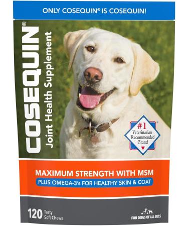 Nutramax Cosequin Joint Health Supplement for Dogs - With Glucosamine, Chondroitin, MSM, and Omega-3 for Healthy Skin and Coat, 120 Soft Chews
