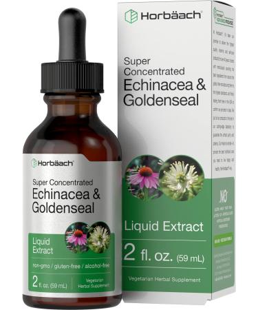 Echinacea Goldenseal Liquid Extract | 2 fl oz | Alcohol Free Tincture Drops | Vegetarian, Non-GMO, Gluten Free | by Horbaach - Buy Online on GoSupps.com