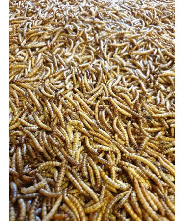 2KG Dried Mealworms for Wild Bird Food - direct deals 123
