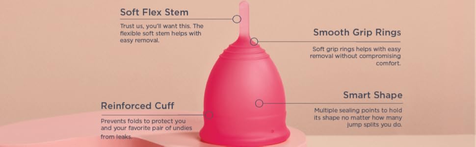 Anatomy of a cup